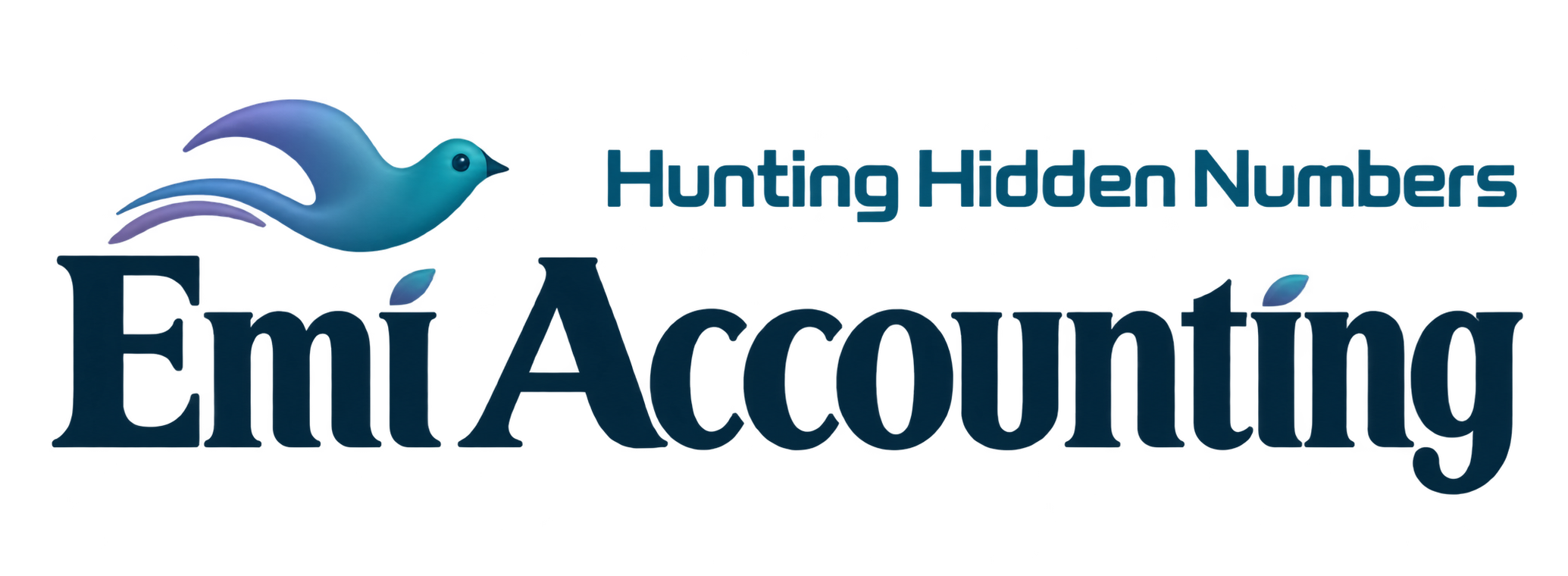 EmiAccounting — Hunting Hidden Numbers