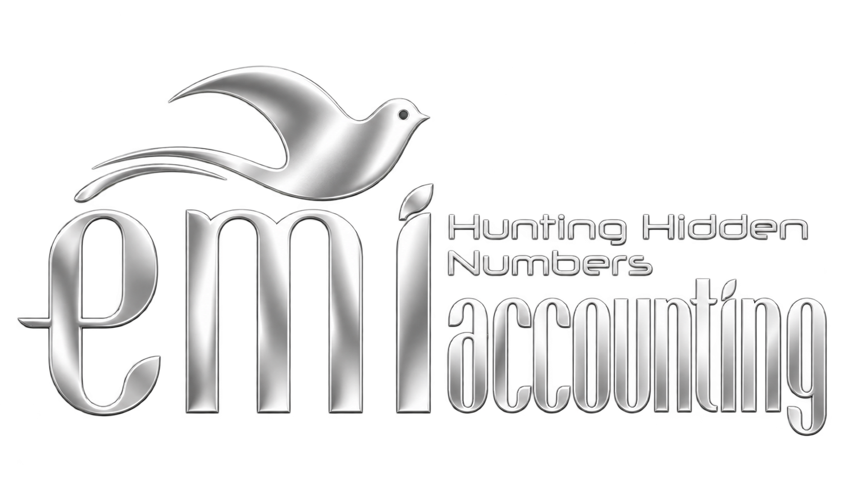EmiAccounting — Hunting Hidden Numbers